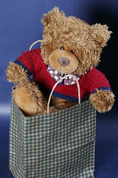 泰迪熊图片下载