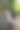一个在户外微笑的年轻女人的肖像图片下载