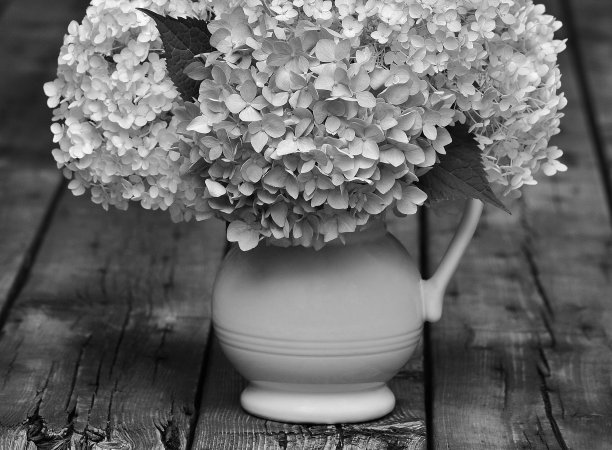 复古美-黑白图像图片下载