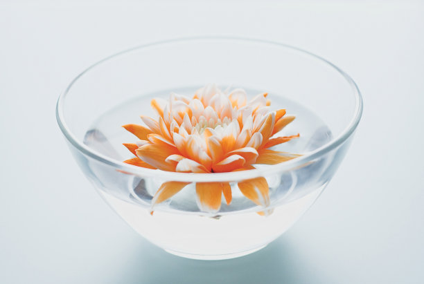 橙花浮水图片下载