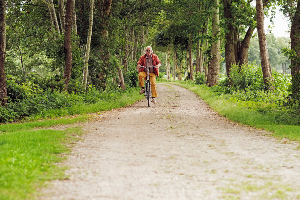 在森林小径上骑自行车的老人。图片下载