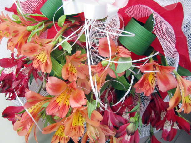 美丽的花束图片下载