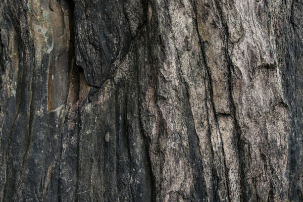 石头的纹理图片下载