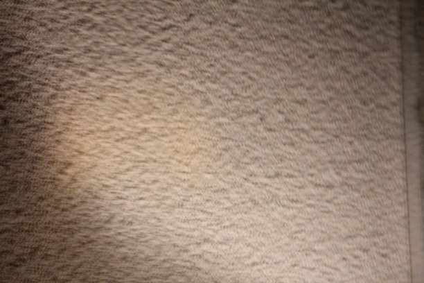 魏尔·普茨图片下载