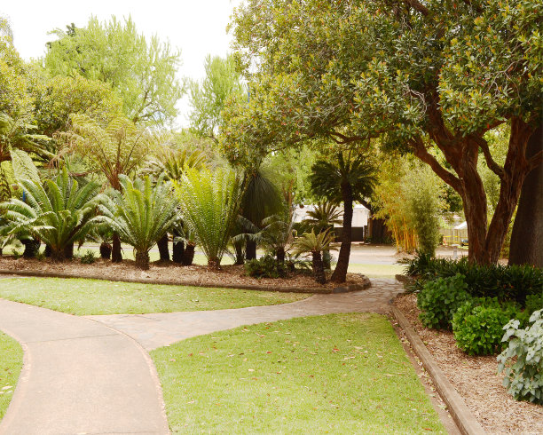 岔路口图片下载