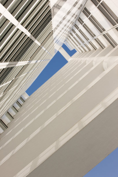 荷兰文摘XXL图片下载