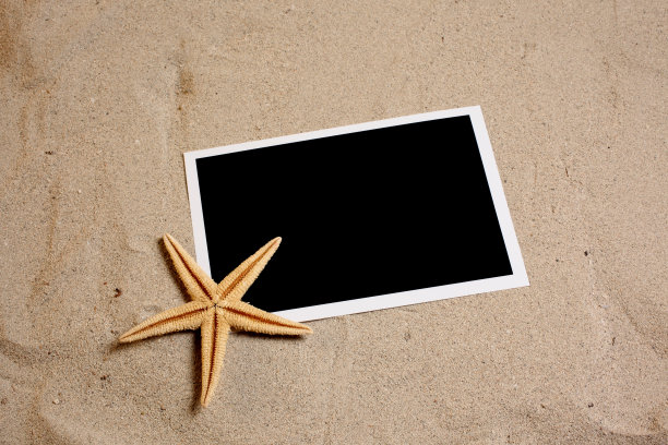 黑色照片和海星在沙滩上图片下载