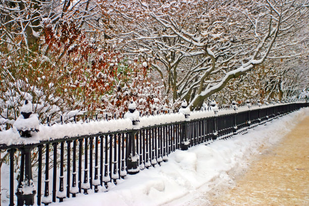 波士顿冬季图片下载