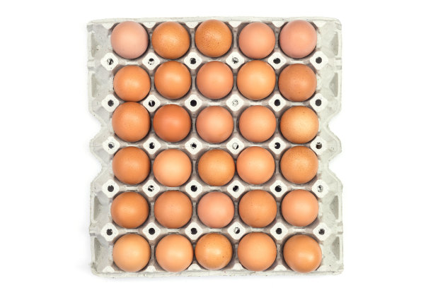 鸡蛋纸盒图片下载