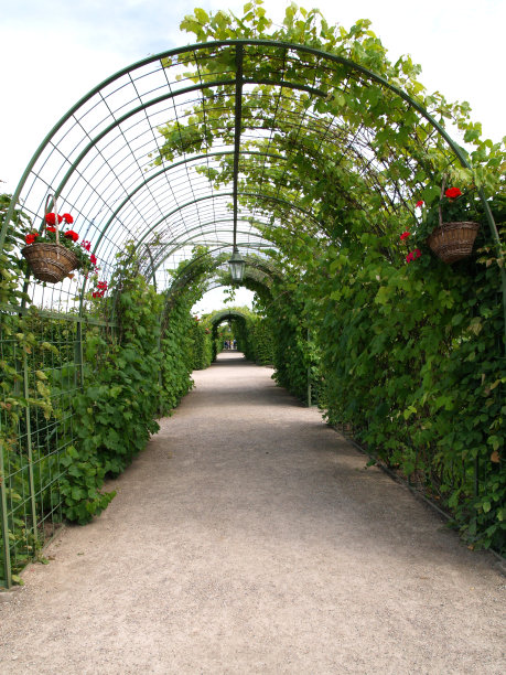 在小巷的阴影里图片下载