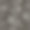 无缝模式与抽象树。手绘花单色背景。图片下载