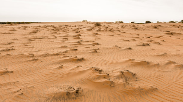 撒哈拉沙漠图片下载
