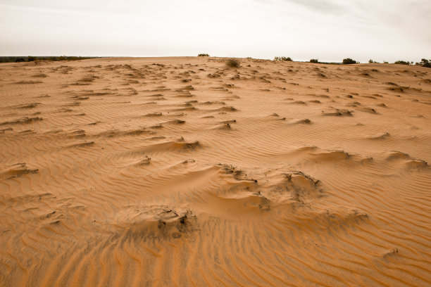 撒哈拉沙漠图片下载