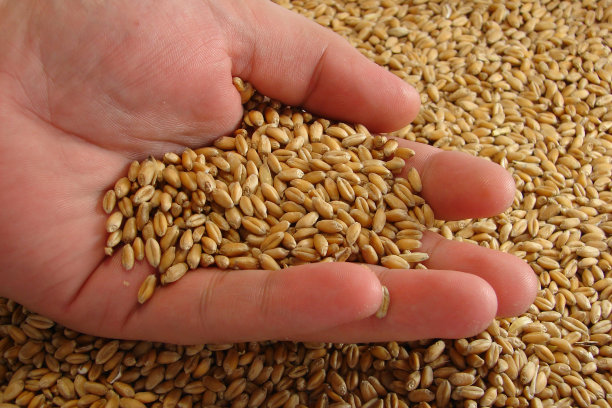 好收成图片下载