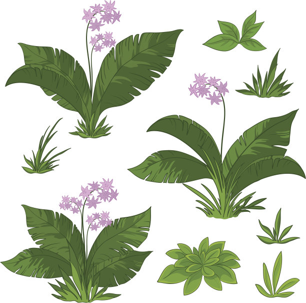 花和草图片下载