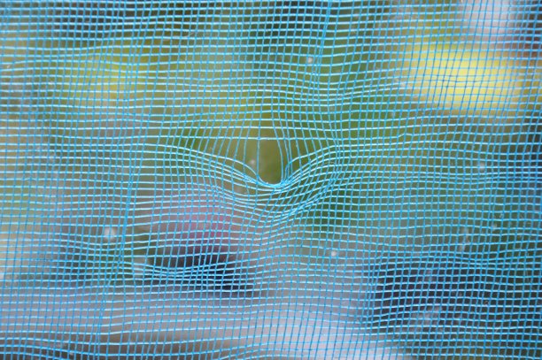 刮一下家里的蚊帐图片下载