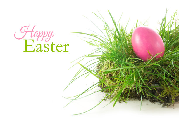 粉红色的复活节彩蛋在草上孤立在白色的图片下载