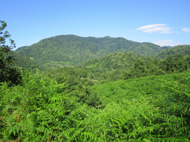 乔治亚州的山图片下载