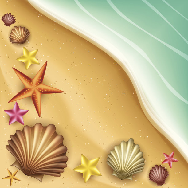 沙滩上的贝壳和海星图片下载