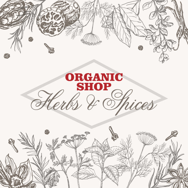 矢量背景香料和香草图片下载