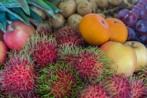 近距离观察各种奇异水果图片下载