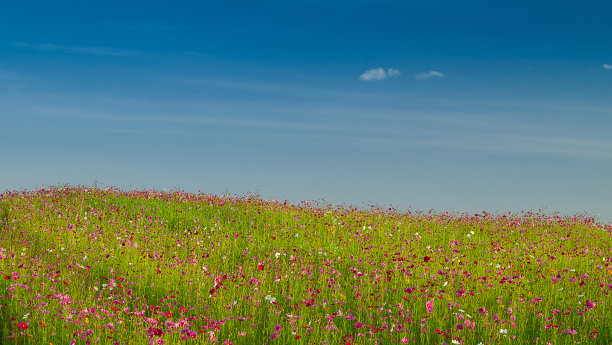 宇宙场与蓝天图片下载