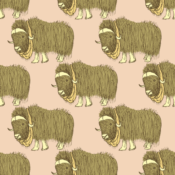 素描花式牦牛在复古风格图片下载