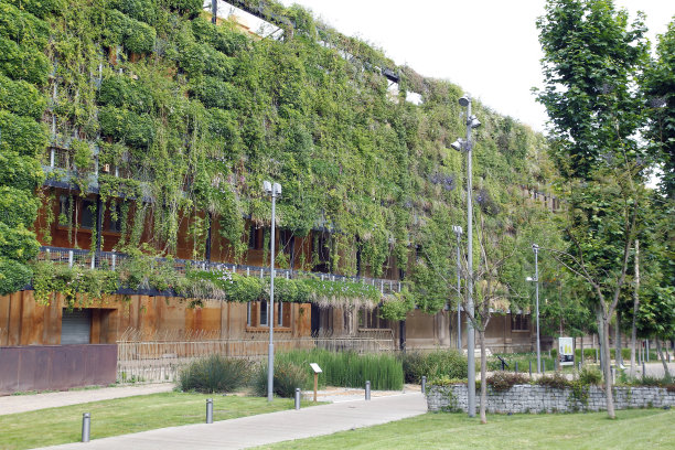 生态建筑中的绿墙图片下载