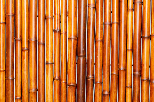 竹子的背景图片下载