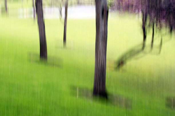 道森春天图片下载