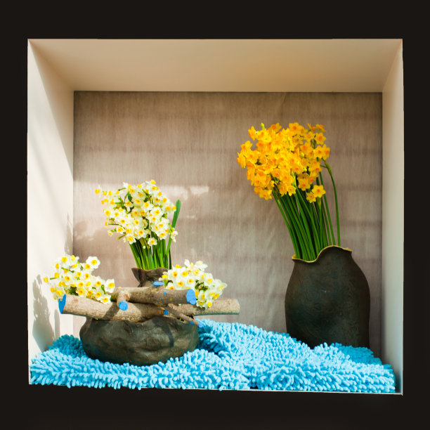 水仙花图片下载