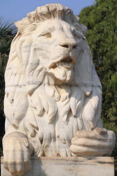 英国的狮子图片下载