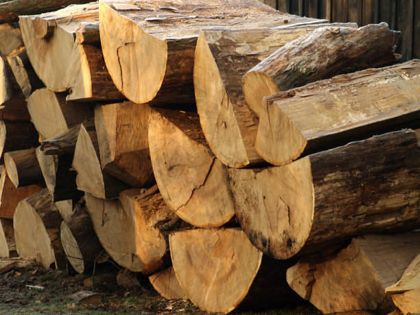 堆木头图片下载