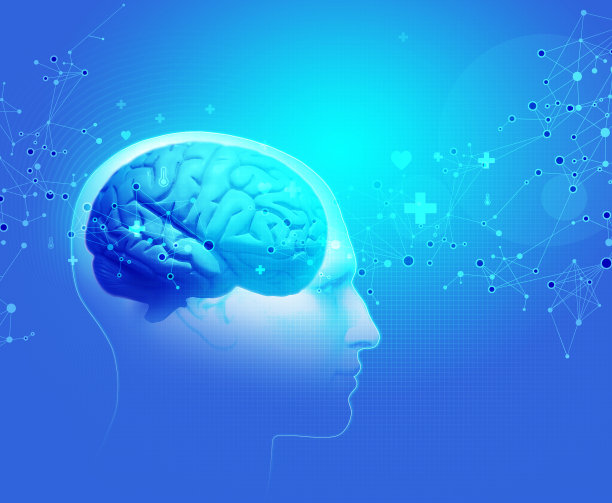 人体-大脑图片下载