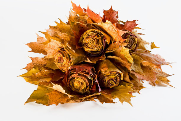 一束秋叶图片下载