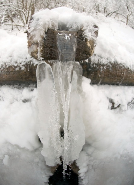 春天在冬天图片下载