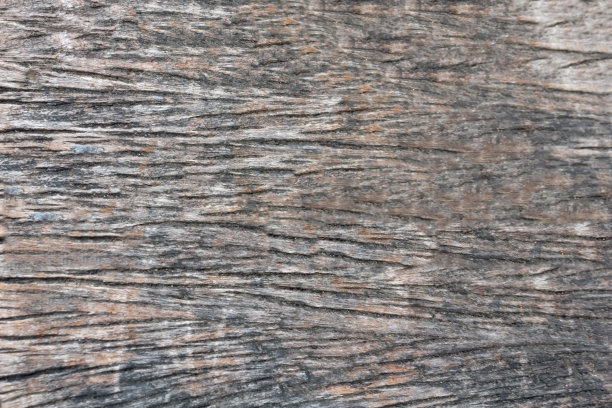 木质纹理背景图片下载