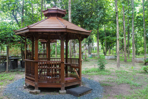 亚洲木馆图片下载