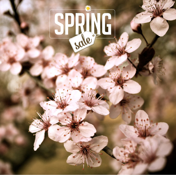 春季促销樱花背景免版税库存照片图片下载