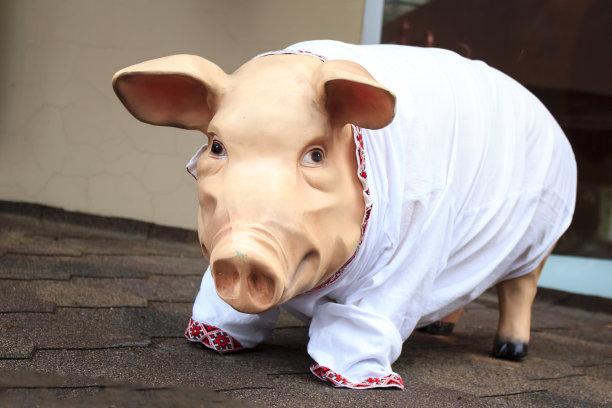 猪在vyshyvanka图片下载