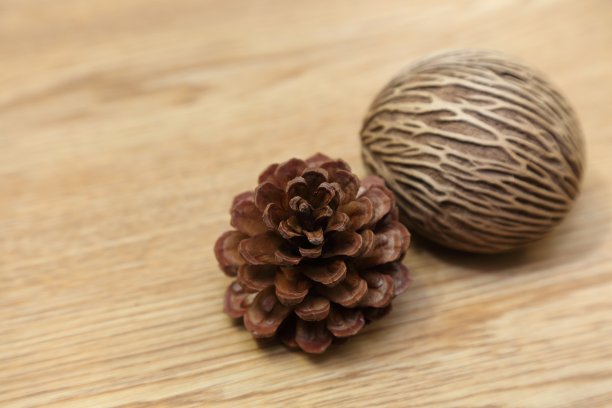 松果和自杀树的背景图片下载