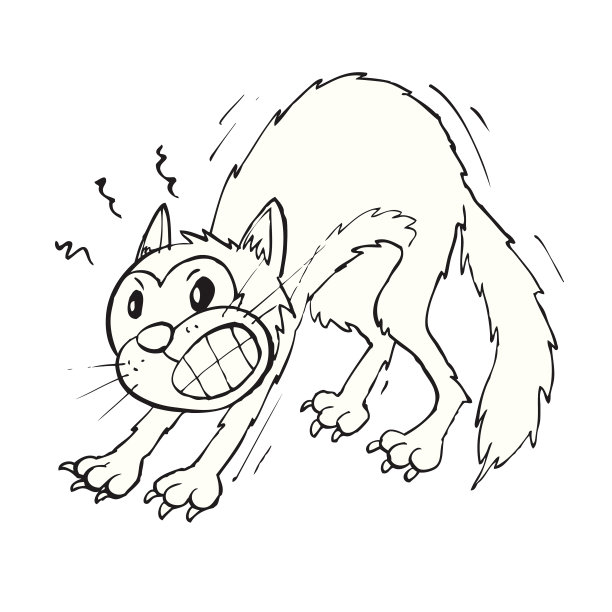 紧张的黑猫和白猫图片下载