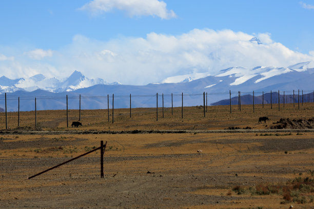 珠穆朗玛峰在云雾中。1951年西藏。图片下载