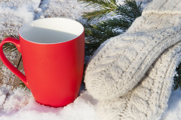 冬天森林里的圣诞红杯子图片下载