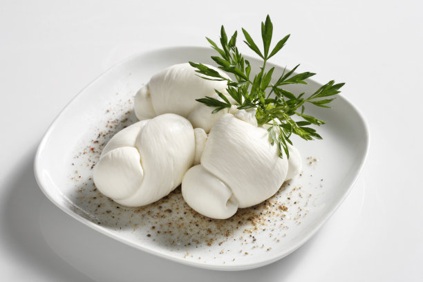 nodini的马苏里拉奶酪图片下载