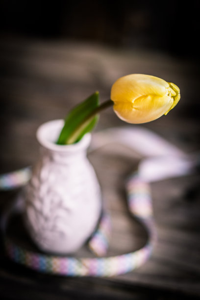 木制背景上的黄色郁金香图片下载