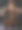 美丽的大提琴家图片下载