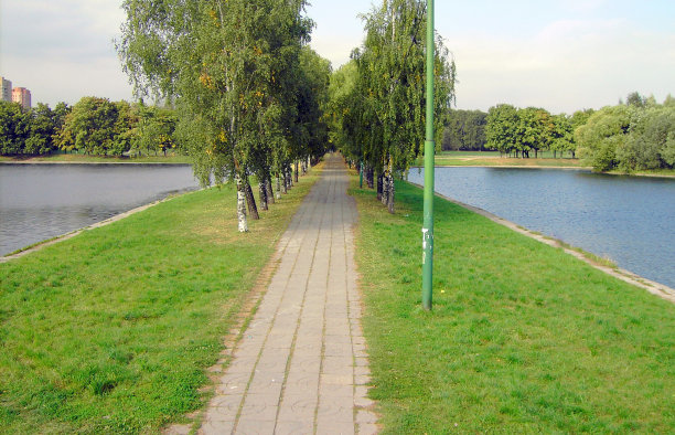 夏天在公园图片下载