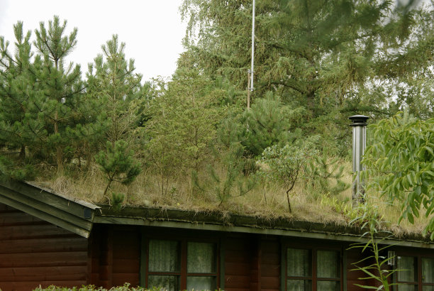 绿色屋顶图片下载