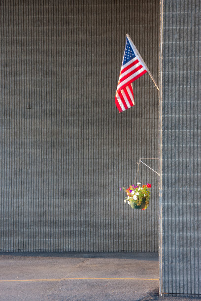 美国国旗和鲜花图片下载